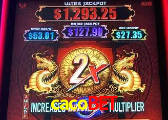cacobet Rio de Janeiro - Professional Dealers